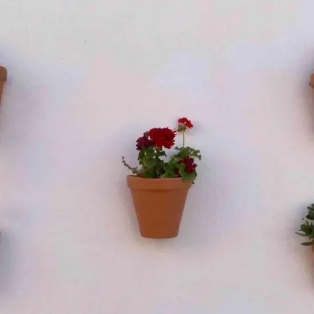 Stylish And Comfortable One Bedroom With Sea View