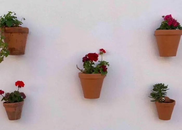 Stylish And Comfortable One Bedroom With Sea View